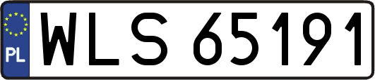 WLS65191