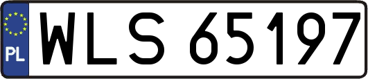 WLS65197