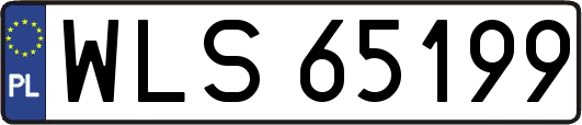 WLS65199