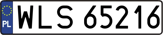 WLS65216
