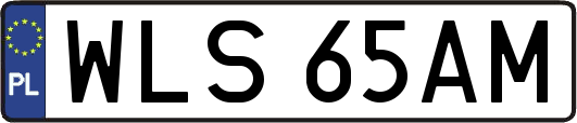 WLS65AM