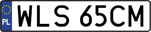 WLS65CM