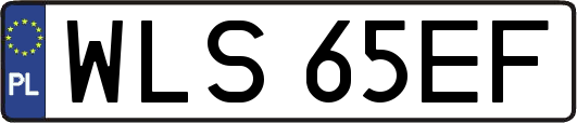 WLS65EF