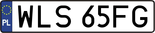 WLS65FG