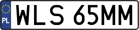 WLS65MM