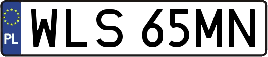 WLS65MN