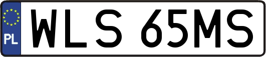 WLS65MS