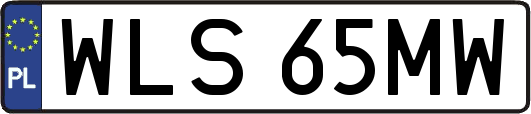 WLS65MW