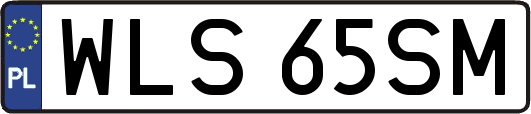 WLS65SM