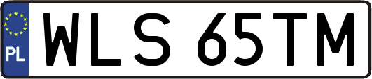 WLS65TM