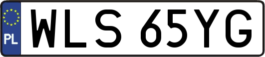 WLS65YG