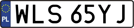 WLS65YJ