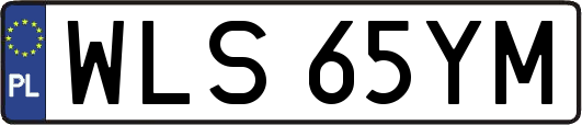 WLS65YM