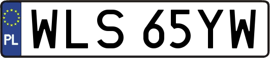 WLS65YW