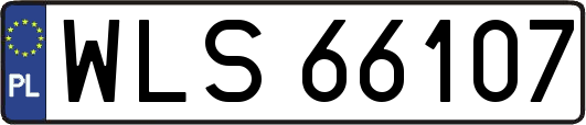 WLS66107