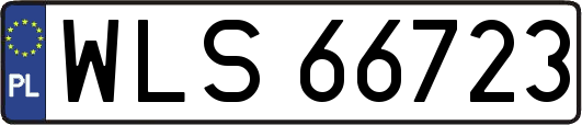 WLS66723