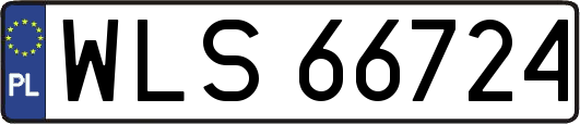 WLS66724