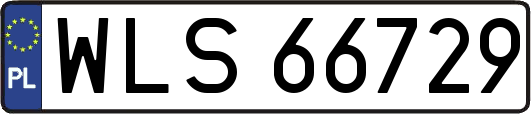 WLS66729