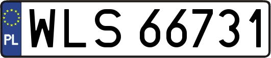 WLS66731