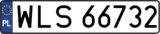 WLS66732