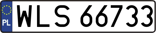 WLS66733