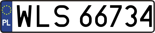 WLS66734