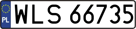 WLS66735