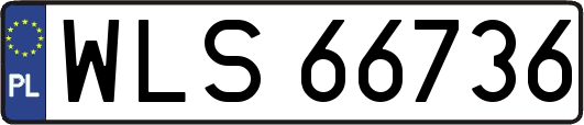 WLS66736