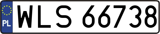 WLS66738