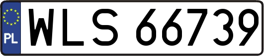 WLS66739