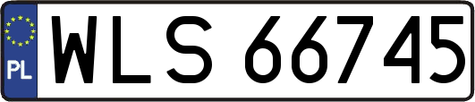 WLS66745