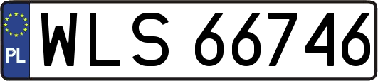 WLS66746