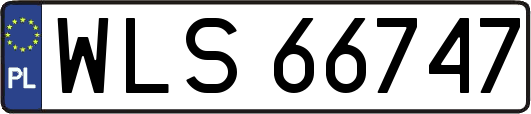 WLS66747