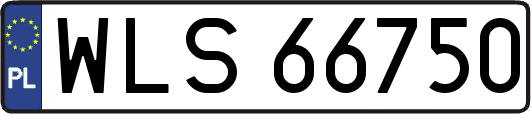 WLS66750