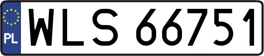 WLS66751