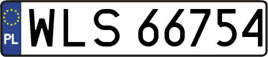 WLS66754