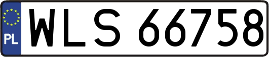 WLS66758