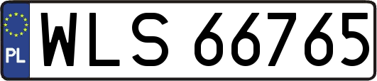 WLS66765