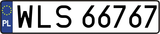 WLS66767