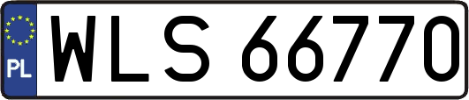 WLS66770