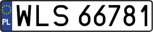 WLS66781