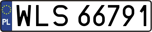WLS66791