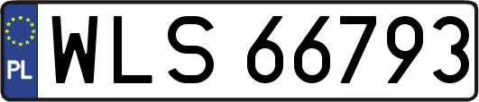 WLS66793