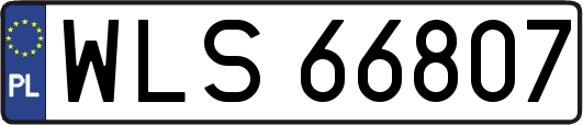 WLS66807