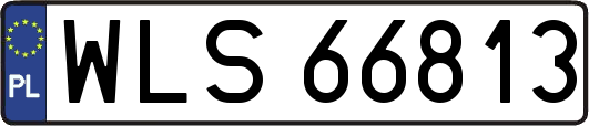 WLS66813