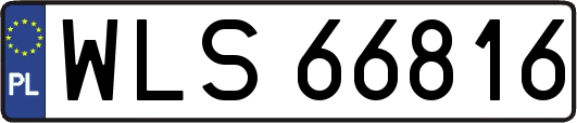 WLS66816