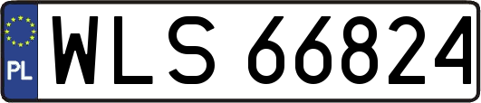 WLS66824