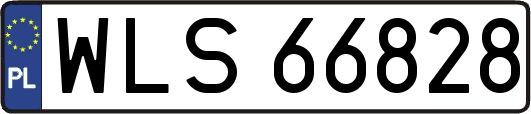 WLS66828