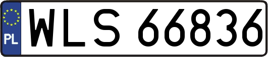 WLS66836