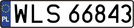 WLS66843